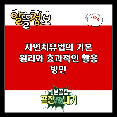 자연치유법의 기본 원리와 효과적인 활용 방안