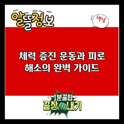 체력 증진 운동과 피로 해소의 완벽 가이드