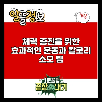 체력 증진을 위한 효과적인 운동과 칼로리 소모 팁